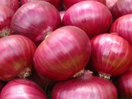Onion